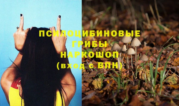 амф Гусиноозёрск