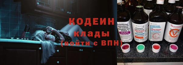 амф Гусиноозёрск
