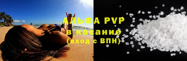 амф Гусиноозёрск