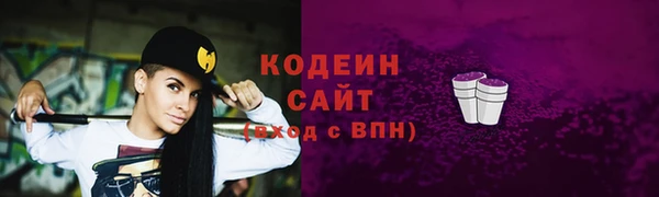 амф Гусиноозёрск