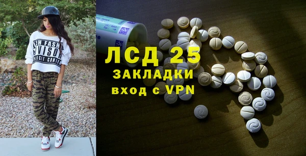амф Гусиноозёрск