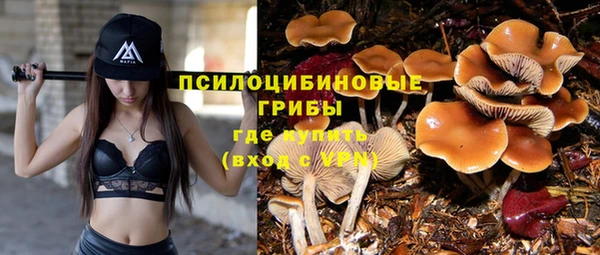 кокаин премиум Гусь-Хрустальный