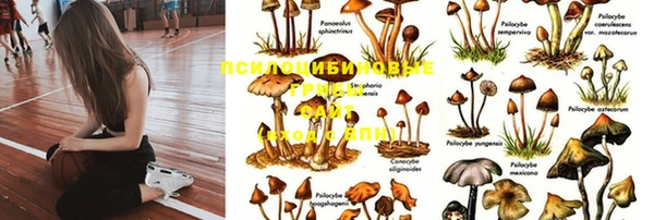а пвп мука Гусев