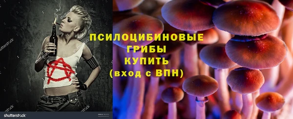 амф Гусиноозёрск