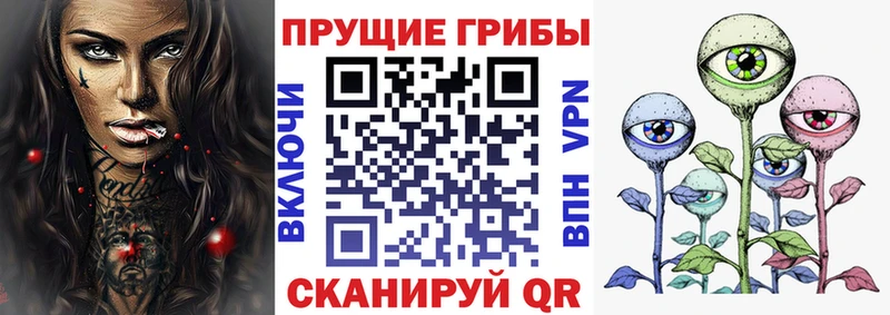 кракен рабочий сайт  Емва  Галлюциногенные грибы Cubensis 